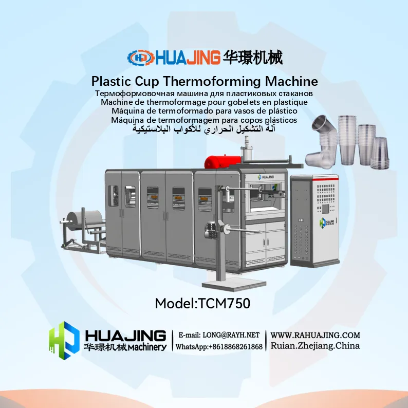 TCM750-Plastic Cup Thermoforming Machine