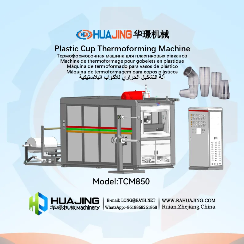TCM850-Plastic Cup Thermoforming Machine