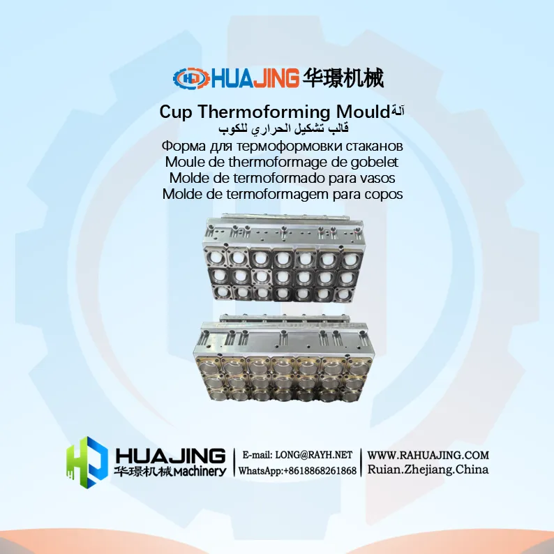 Thermoforming Mould