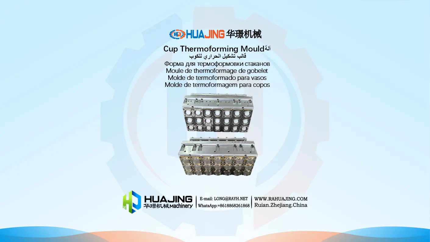 Cup Thermoforming Mould21-Ruian Huajing Machinery.png